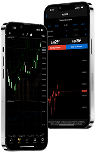 efd group is the best service provider for forex fund management